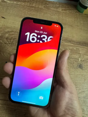iPhone 12 Pro Max - 256 GB
