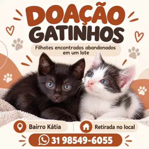 Doação Gatinhos Preto e Preto e branco