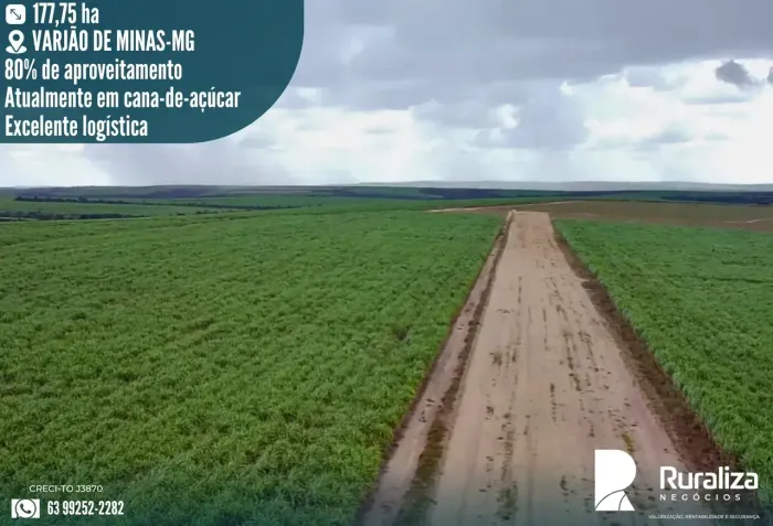 36 ALQUEIRES | 30,6 ALQUEIRES EM CANA | APENAS 8 KM DA USINA