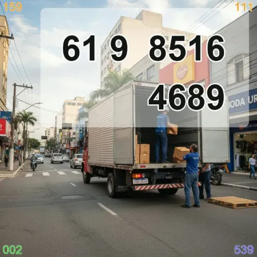 frete em caminhão baú para Plano Piloto e Águas Claras, faça sua mudança hoje!