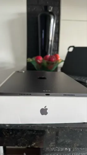 iPad Pro 11 256 Gb