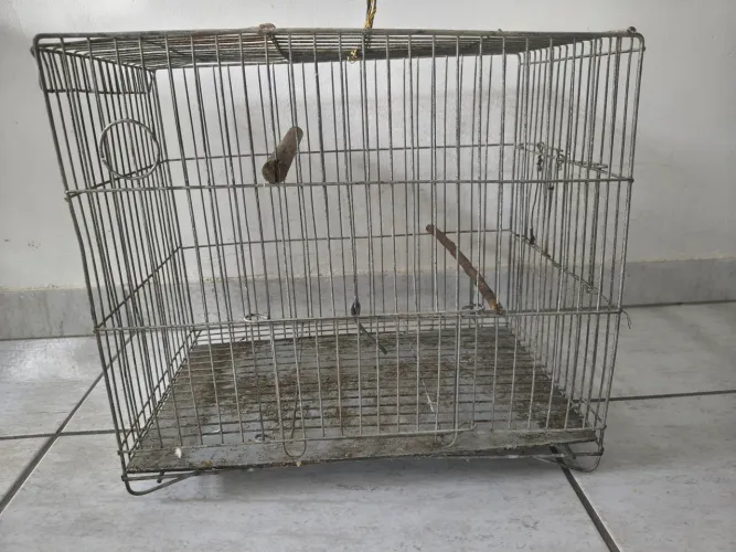 GAIOLA BOA