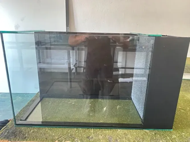 Aquário Água Doce 72L com Sump sexto vidro lateral Novo