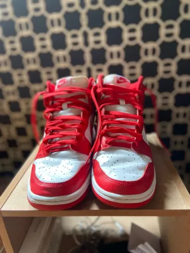 Nike dunk high 