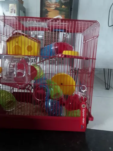 Gaiola de ramister já envio junto areia pra banho cheia mais comida mais a serragem 