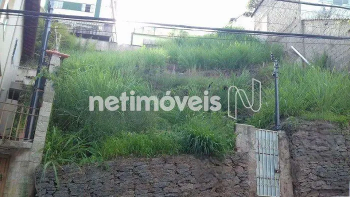Venda Lote-Área-Terreno Nova Floresta Belo Horizonte
