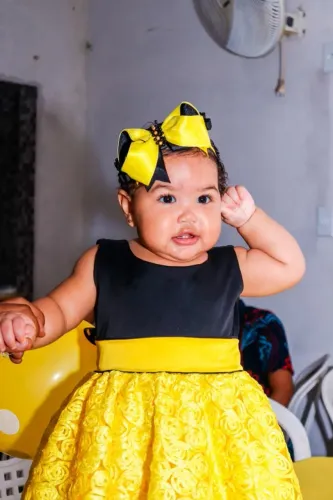 Vestido de aniversário abelhinha