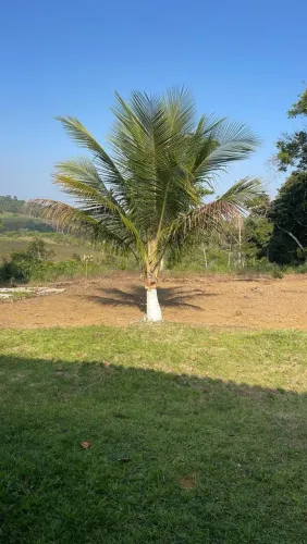 Fazendinha a venda no município de laje