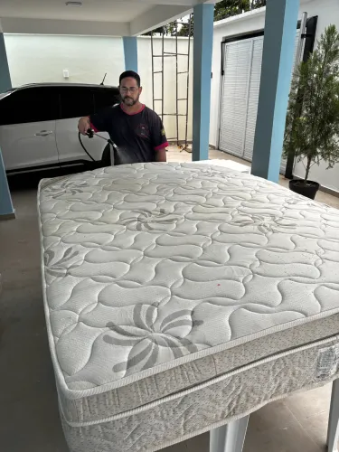 Remoção de ácaros morfo fungos bactérias odores e toda sujeira da sua cama