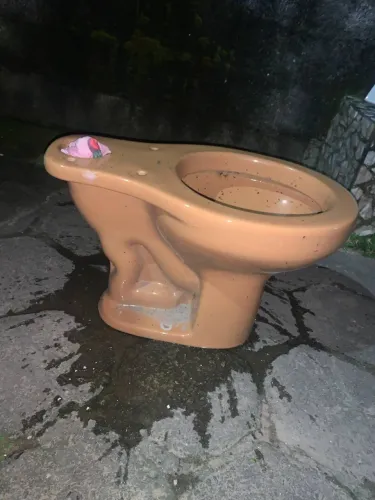 Vendo vaso sanitário com caixa de descarga