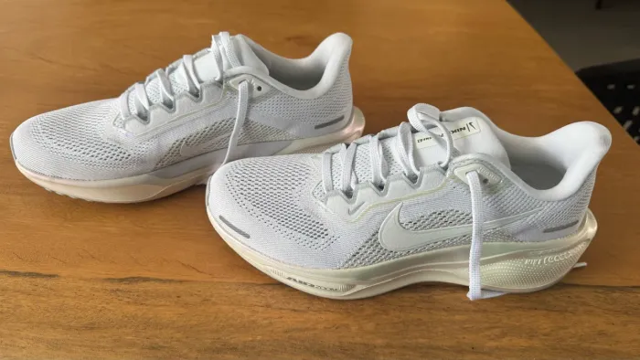 Tênis Nike Tamaho 37 Pegasus NOVO