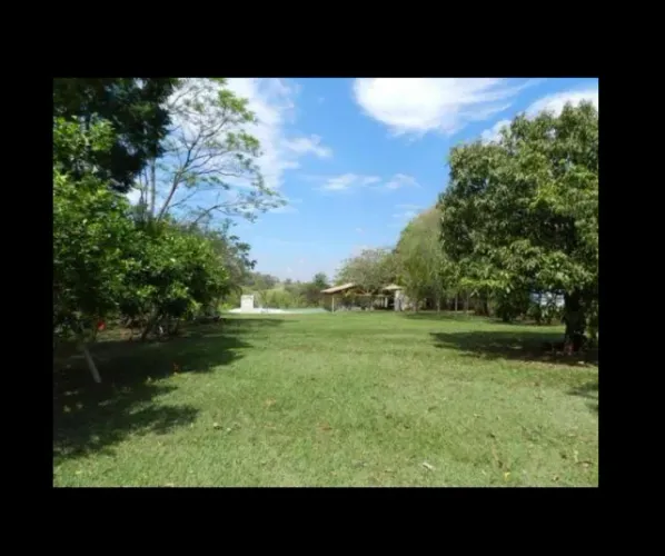 Vendo chácara 20 mil metros estrada do Limoeiro Londrina PR