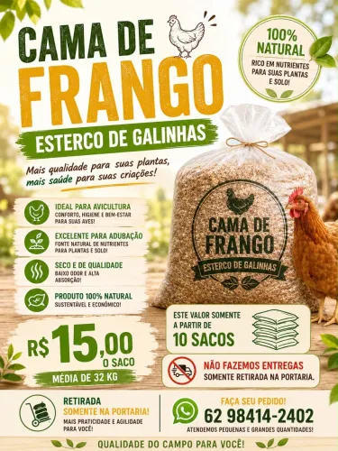 Cama de frango (esterco de galinha) 