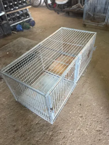 Gaiola de PetShop