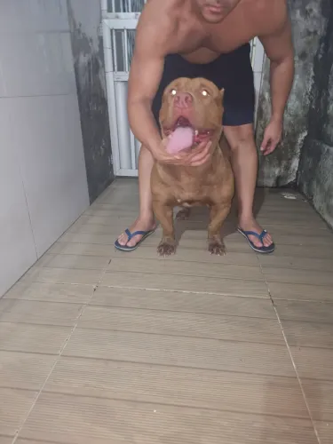 Pitmonster