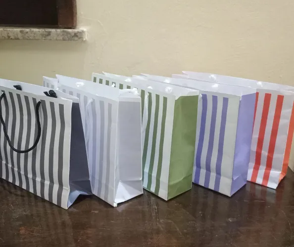 20 Sacolas 24,5x17,5x6,5. Papel off-set