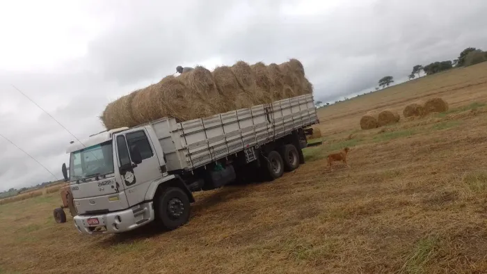 Ford cargo 2422