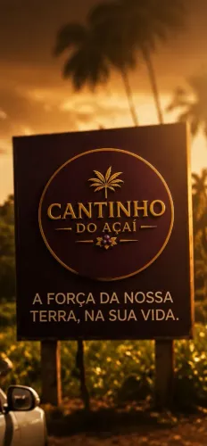 Polpa de açaí 