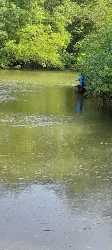Sítio a venda , local ideal para morar.