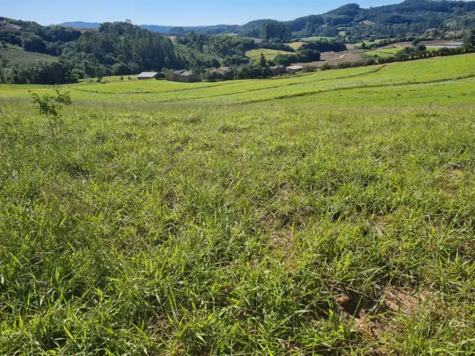 VENDO UMA DAS MELHORES PROPRIEDADES RURAIS DA REGIÃO DE SENTINELA DO SUL RS 
