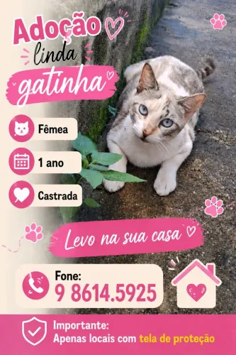 ADOÇÃO GATINHA FÊMEA