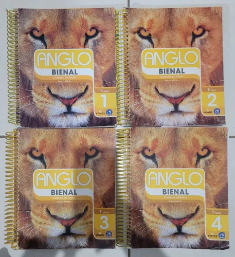 pré-vestibular Anglo Bienal - 1° ano EM