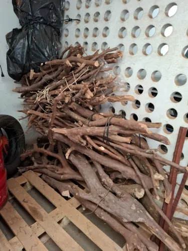 Lenha de jaboticabeira para defumação
