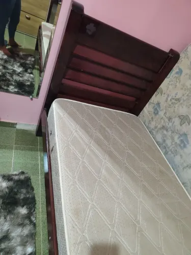 Cama