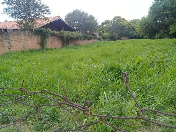 terreno - Parque Taquaral - Campinas