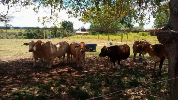 Terreno chácara 4.980m² Ipioca Ranch 400 metros da Nova AL 101 Norte e 3km da praia