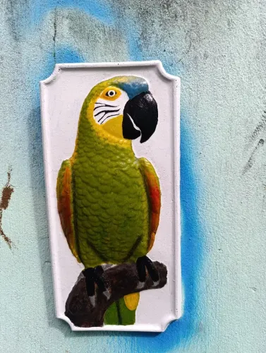 Quadro de papagaio
