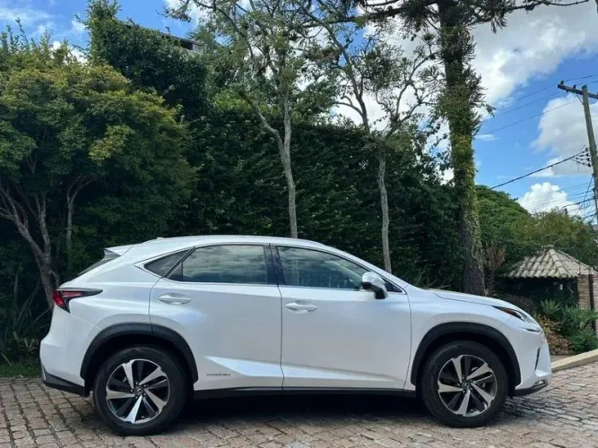 Lexus NX-300 H Luxury 2.5 16V Aut. 2019
