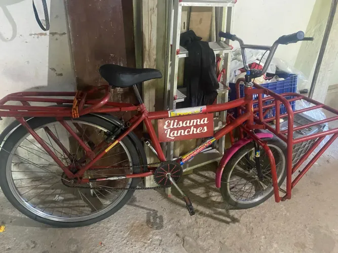Bicicleta cargueira 