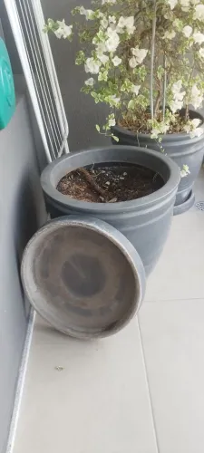 Vaso para plantas