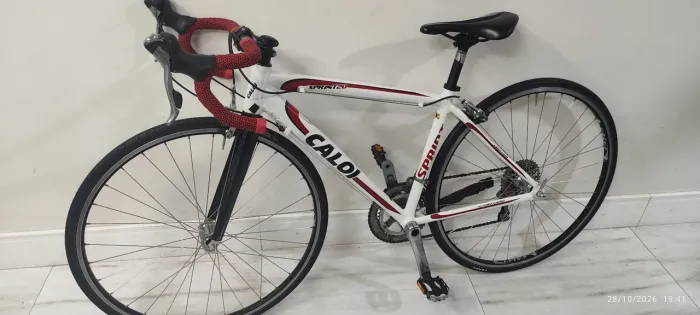 Speed Caloi Sprint 20
