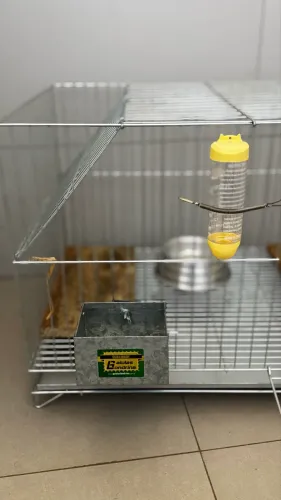 Gaiola para Coelhos ou Porquinhos da Índia