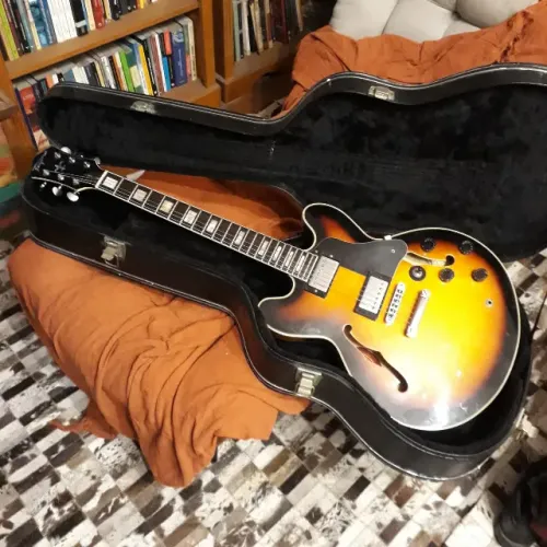 Guitarra Tagima Blues 3000
