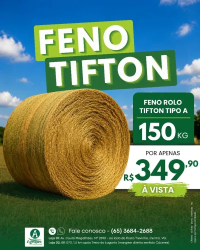 FENO DE TIFTON ROLO