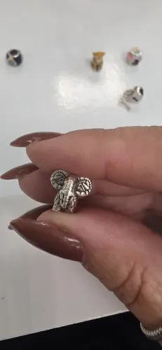 Separador elefante vivara