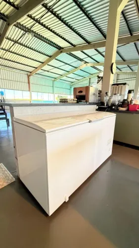 Freezer Eletrolux HI550 - 513L