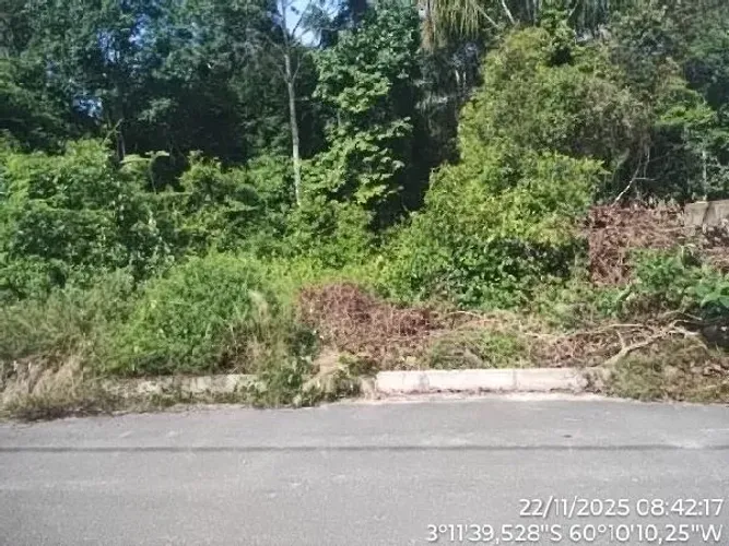 Lote Residencial Tropical em Gleba Cacau Pireira - Iranduba