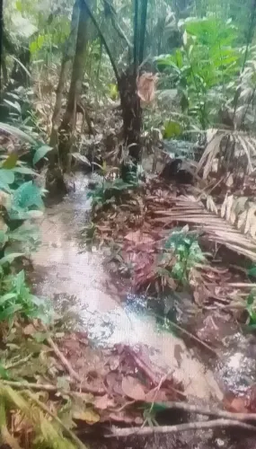 Vendo ou troco sítio na Am 010 km 91