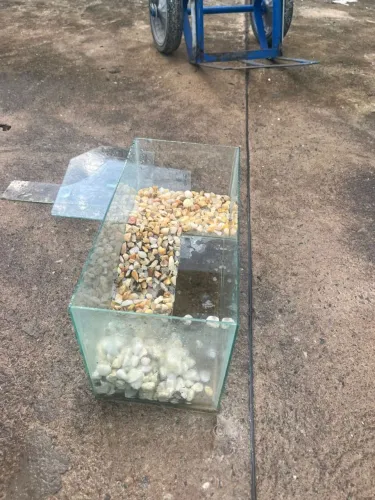 aquário de peixe ou tartaruga