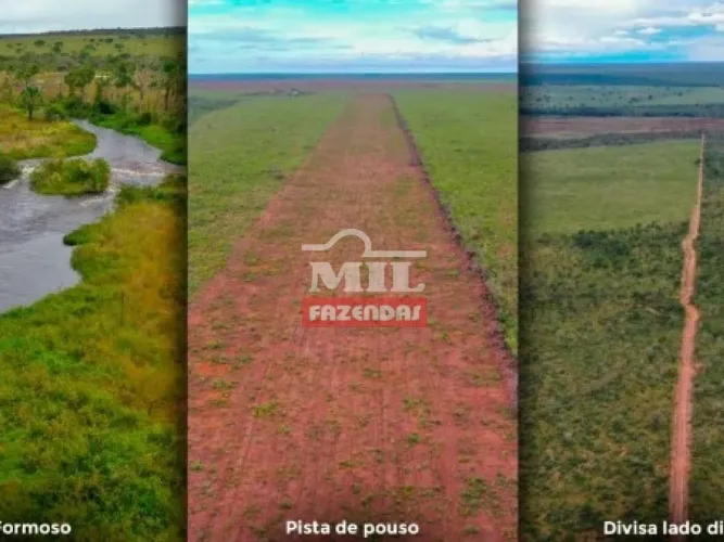 Fazenda no Oeste da Bahia. (21.000 Hectares)