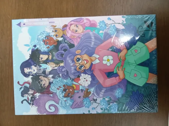 Box diário de uma princesa desastrada