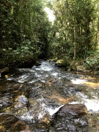 OPORTUNIDADE PARA CRÉDITO DE CARBONO, SÍTIO EM SANTA RITA DE JACUTINGA-MG 127HA 