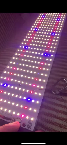 Painel LED GROW 240W Samsung - Profissional