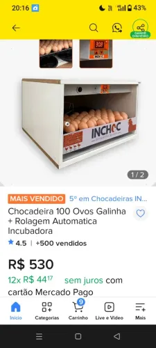 Chocadeira