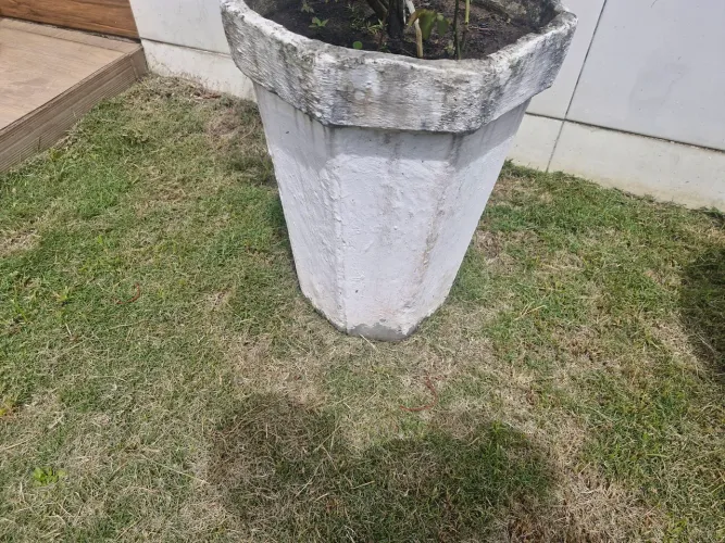 Jaros de plantas