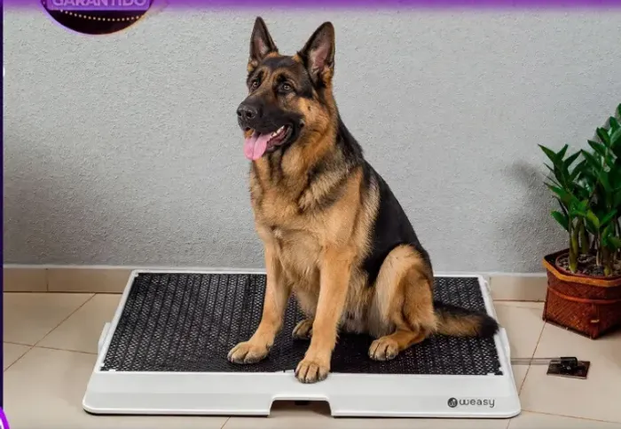 Weasy Cão - Banheiro Inteligente para Cachorro | TAMANHO GRANDE | Como Novo